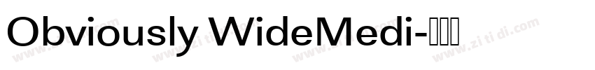 Obviously WideMedi字体转换